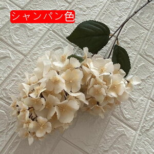 VN 1 AWTC ͂Ȃ {  DIY iX  JXj ʐ^Be Ԍ|p j v[g ̓Mtg  ԑ VN lHϗtA sN