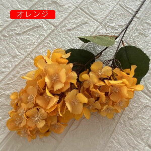 VN 1 AWTC ͂Ȃ {  DIY iX  JXj ʐ^Be Ԍ|p j v[g ̓Mtg  ԑ VN lHϗtA sN