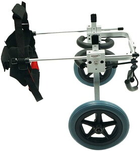 pԈ֎qA^/^pybgpԈ֎qA̕s둫nre[VA둫pybgLJ[g (TCY: ) (M)