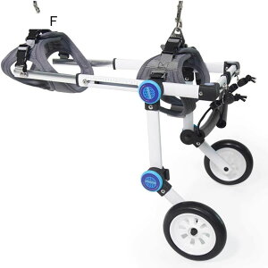 pԈ֎q Ⴣybgp s⏕ Qp s⏕ tT|[g y 2 pJ[g d4.4`50.7|h L ^ 񂿂 qp (M)