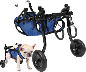 둫p̒߉\ȌpԈ֎qAybg/񂿂A둫sRȌpԈ֎qAsp XS