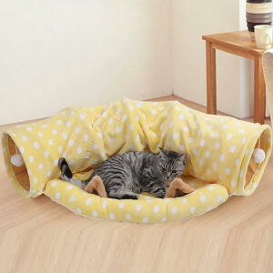 ܂肽 L gl  ybgnEX lR̐Q ybgpi ybgxbh LnEX Lbggl    ^ [֗ 􂦂 LV ^ ^s΍ J