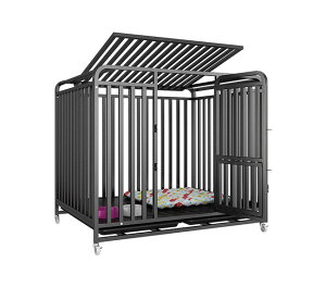  P[W t  pgCt ybgT[N  P[W Q[W ybgP[W ybg  ^ ^ ^