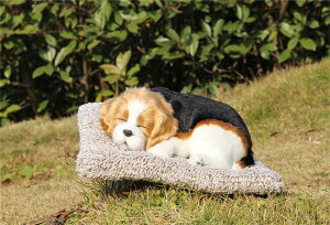 ԗpL EL Ɨp ԗp {݂̓ LY L  u p_ L im im imTCY imL   C tHAfqh