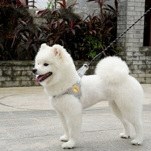 ybgpn[lX[hZbg ^  hbOEFA  ^ p  ^ [h Ȃ Cp 킢 SȂ  ^ ybgpn[lX[