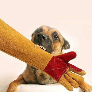 C菝h~ ˂hh~ O O[u    Z[teBO[u  ی  ϔM ybg gg  ybg hn