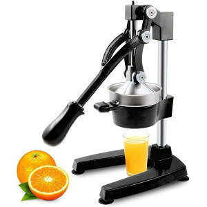 蓮W[T[C݂iCiCnhW[T[CiC nhvX IWCCt[cW[Xi CƒpыƖp̎