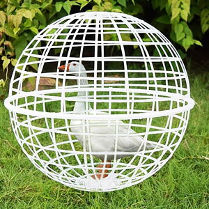 ���r�b�g�n�b�`�`�L���{�[���P�[�W �{�ɁA�ۂ��v���X�`�b�N�{�P�[�W�A�|�[�^�u���{�������O�o�j�[�P�[�W�A�{�p�P�[�W �Ƌחp�P�[�W �y�b�g�P�[�W �E