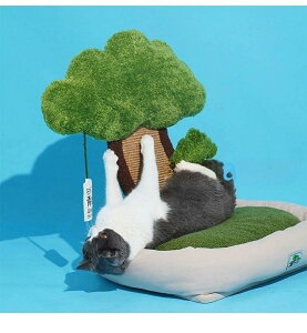 ̖~͔L ybgxbh Lxbh ܂Ƃ|[ IV tt  INS lCV IV ˂ ߂Ƃ lR ܂Ƃ|[ ܌ Lpi ybgpi v[g Mtg 