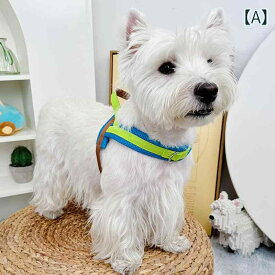 ハーネス リード 1.5m セット メッシュ ブルー ピンク グリーン 青 緑 XS S M 犬用 ロングリード 二重 2本 胴輪 ペット 超小型犬 小型犬 中型犬 猫 子犬 お散歩 お出かけ ロープ カラフル おしゃれ かわいい かっこいい カジュアル