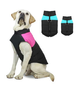  WPbg  h ̌^  xXg ȕR[g L ^ ^ EȒP H ~ U  _ExXg ybg n[lX R[g hbOEFA m {A g AE^[ y