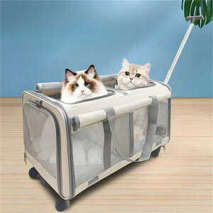 L L[obO 2Cp L[ zC[t X[cP[X  L œK̏d16kg ܂肽 ybgL[ obO ʋC g\