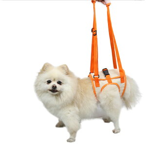  pn[lX Ck  둫n[lX p xg  p n[lX nr ⏕ 둫 hbOn[lX V VjA s⏕ sT|[g U p pi n[lX 