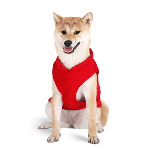  ~ xXg ̗m ^Ngbv nClbN  U ۉ g _炩 y t[Xn hbOEFA Ot H ₷ ȒP 킢