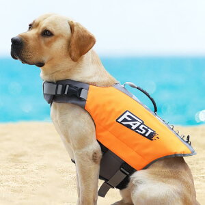 p CtWPbg  ~ ^ ^ t[eBOxXg CtWPbg   dJt nht C  V v[ V C SUP Tbv  jP