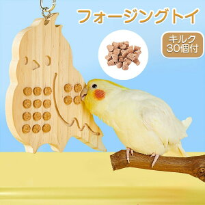 o[hoX C  Ot O|  CR e tȒP CR  ybgObY ybgpi ObY pi ԊO ԊOm |v h  e 􂢕