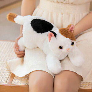 L̂ʂ Ђ˂ AȔL̕ ˂ lR q 킢 { {݂ ₵L LObY Lbg ̓ ̓ hV̓ v[g Mtg 蕨  