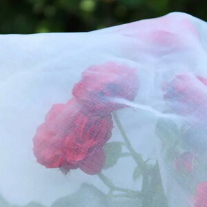 lbg gl _Ɨp 悯 1mm | ی 悯 h bVlbg |pi ؉ h nEX 150cm×30M ʂ hlbg hV[g ɍ׃bV  c  ؍͔| 