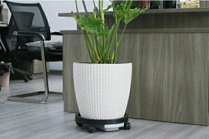 v^[X^h u  Aؔ u v[g tړԑ 󂯎Mt LX^[ ~` ԑ L[u LX^[t u 360°] Xgbp[@\t bN