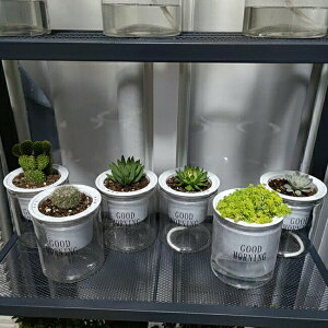 Aؔ vX`bN 4 3Zbg z t[|bg n[u|bg  ϗtA   s zCg fUC CeAG G  pi