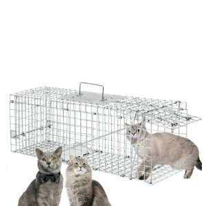 ߊl L  ߊl  qL ߊl@ q  쐶  ߊl ی O ߊl  Aj}Lb`[ nNrV Qb   ߊl Lp L ǔL C^` ߊl Q