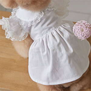 ybg  hX wAst c[s[X vZX [X hX ̎qp {fUC   ^ ^ ybgphX oɂ҂ ̎qp