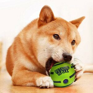 ybgpi ybggC p  ݂ɂ ]Ɖ V n߂鎞 ^ ^ Sf ^s XgX