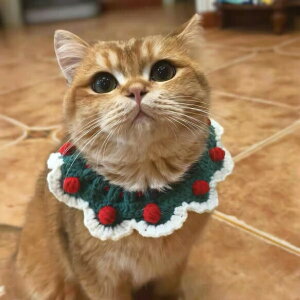 Lp悾ꂩ ru  _炩 y Hp ȒP 悾Jo[ JM҂    p X^C 悾| NX}Xzf[fR[Vp҂݃XJ[t