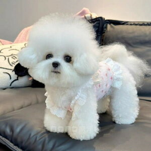 ybg  ԕ hX t  H s[X [X t {t  Ȃ ʋC K ^ ^ L q  ̎q efB ` rV  U ybg