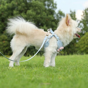  n[lX ybgn[lX p pn[lX [ht 񂪒܂Ȃ fUC ߉\ 킢 Ȃ ʋCQ K tBbg ȒPE Sy yʐ݌v  S 