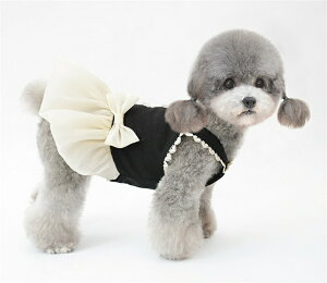 ybg ybgXJ[g pXJ[g vZX ^ ^ L ȃVl   s[X }`[Y [NV[eA tt [Xt U 