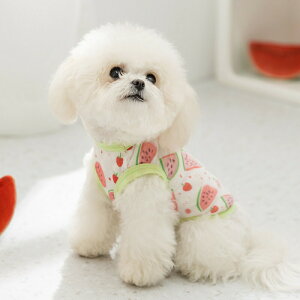 ybg t bV^Ngbv  ʋC  K ybgEFA hbOEFA ^Cj[ ` v[h rV Lp y   U XS`XXLΉ