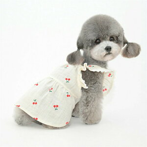 ybg  s[X hbOEFA ^ ^ L `F[ ȑf t ėp  ʋC [Xt m[X[u ptX[u tXJ[g 킢 vZX 