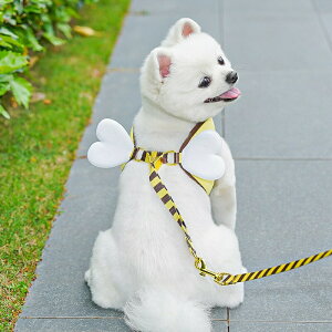  n[lX [h Zbg ɂ \tg y ^p ~co`fUC wn[lX[hZbg ybgp   y \tg ʋC U o ^ 