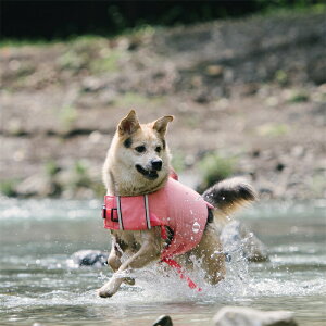 pCtWPbg ybgp  HfUC ~ ˃e[v Et S⏕ f V C  y h ϖ S