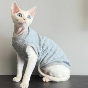 L XtBNXL LbgEFA f{bNX t H ~ RjXт̔L  Ȃ _炩    n Z[^[ p[J[ EȒP AEghA ybg  