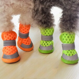 ̌C C ^ ^ hbOV[Y L  ی Ȃ bV ʋCQ C \bNX ~ ₷ pbg X|[c _炩 ybgp pi