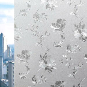 ptB ډBV[g KXtB Ռ \蒼\ KX tB OJbg ÓdCh~   vCoV[΍ CeA  Uh~ C  