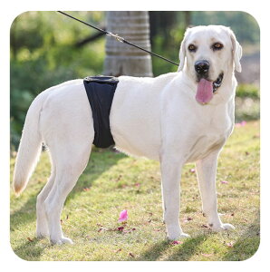  }i[pc j̎q IX }i[xg }i[EFA }[LOh~ }i[oh ^ ^ ^ p }i[pi ނ Ic   hbNEFA  킢 