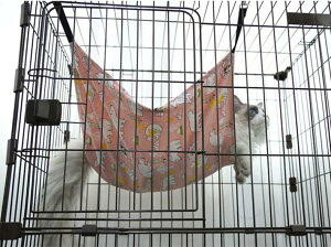 nbN tbNt Lbg L nbN ӂӂ L nbN P[W LObY ybgxbh ybg ėp {A tFbg o[Vu I[V[Y @֎q