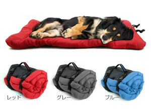 �� �y�b�g �}�b�g���X �g�� �����^�� ���� �h�� ����h�~ �J�t�F ���� �A�E�g�h�A �h���C�u �}�b�g �V�[�g ���� ���킢�� ���^�� ���^�� �_�b�N�X �R�[�M�[ �`���� �Č� �v�[�h�� ���� ���O 