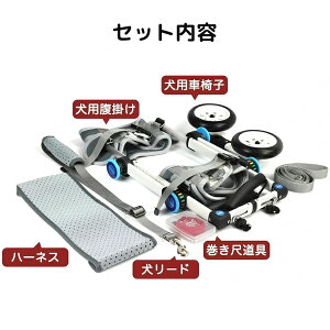  Ԉ֎q ybgԈ֎q 2 s n[lXZbg ^ ^ L rT|[g nrp s⏕ y ߉\ wjA  Q҃ybg R[M[ ViEU[ zCg 