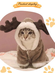 NX}X  L lR RX`[ giJC RX T^ _炩 킢 LpRXv ̕ NX}X Lp cosplay  ϑ ߑ U o ʐ^ Be ȒP