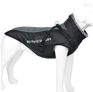   ybg ̕ hbOEFA WPbg Hp ~p g n[lXt   h wJ  H ~ m ybg   AE^[ іh~ U 