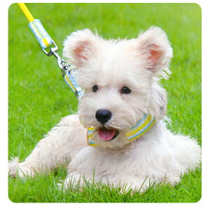  n[lX ^ ^ ^ [h Zbg ₷ EȂ n[lX  _炩 S Ȃ  ^ X^_[h ʋC  bV ̃n[lX p