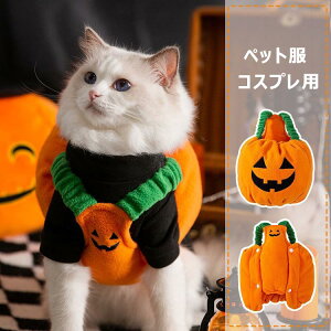 nEBp[eBɂ҂   ̕ nEB H ~p ڂ _bNX `   RXv RX`[ nEB hbOEFA ~  ϑ ybgEF