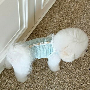 ybgpi ybg̃XJ[g  L t V ^ xXg s[X ^Ngbv vZX  ybgEFA XS S M L XL