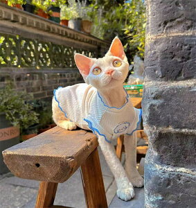 L ėp m[X[u єLp 󒲕xXg XtBNX f{bNX R[jbVbNX ^p pW}  Rbg ʋC іh~ EȒP  킢 