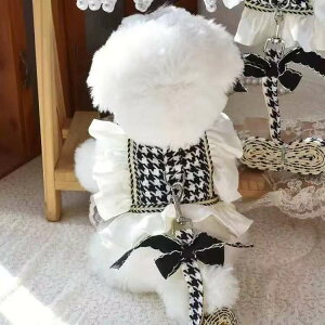  s[X t ybg  hbOEFA ^ ^ TVc _炩 ʋC vZX RX`[ LOBe U o ybgߕ phX AEghA ybg