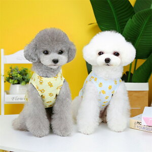 ybg p xXg tėp N} tvg 킢 fUC ^p Lp efB ViEU[  ʋC  y  K  o AEghA ё΍ EȒP 